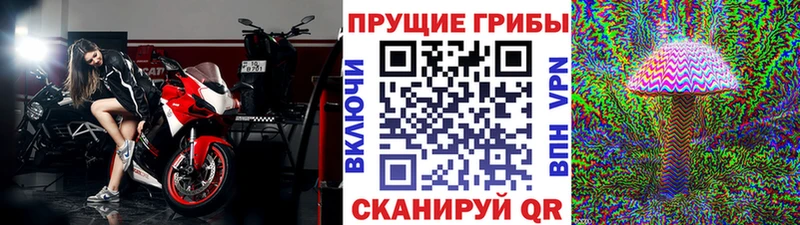 Галлюциногенные грибы прущие грибы  mega как войти  shop какой сайт  Усть-Кут 